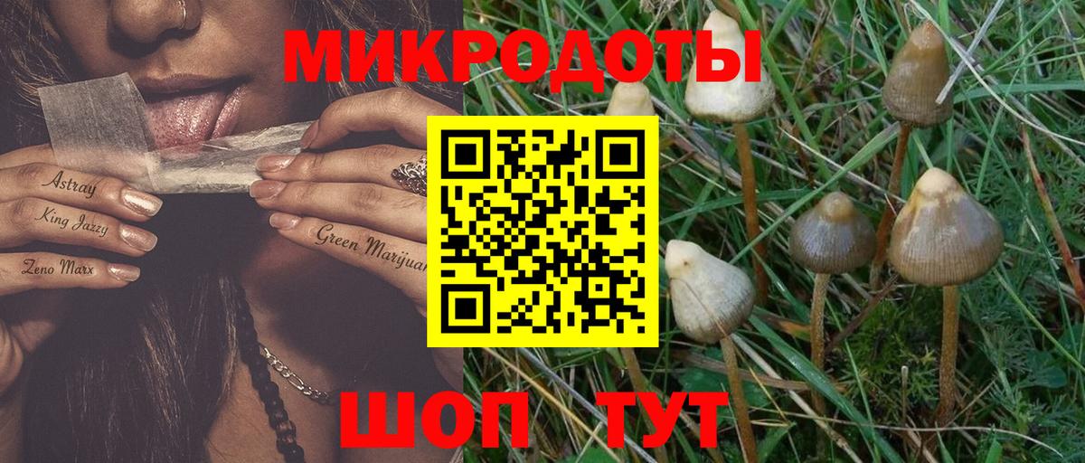 Спасск-Дальний  наркошоп  Вход с VPN  Псилоцибиновые грибы GOLDEN TEACHER 